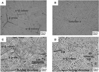Effect of Heat Treatment on Creep Properties of in situ Synthesized (TiB+La2O3)/Ti Composite